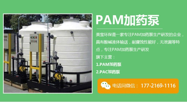 PAM加药泵